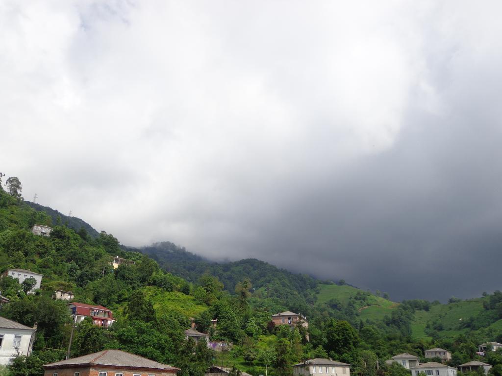 Guest House In Sarpi Bagian luar foto